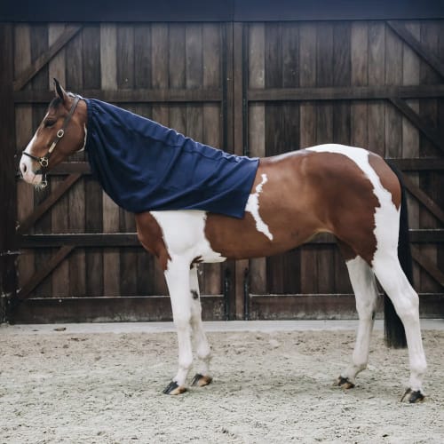 Kentucky Cooler Fleece Horse Scarf