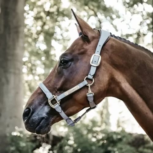 Kentucky Anatomic Suede Halter