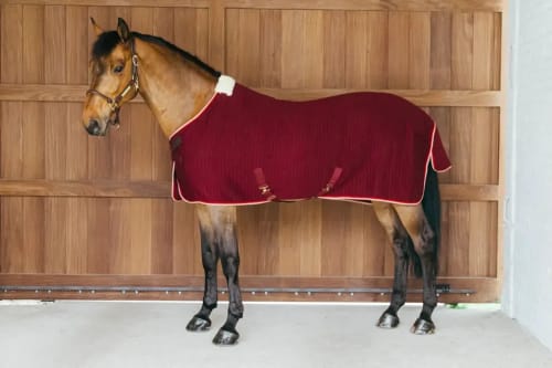 Kentucky Cooler Rug ProTherm