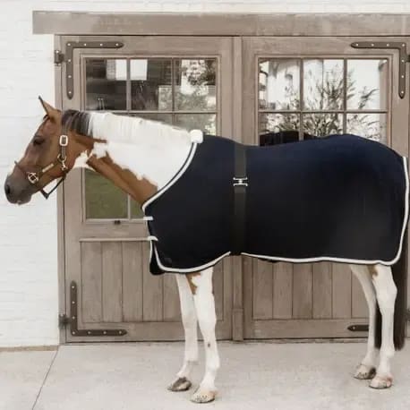 Kentucky Elastic Rug Belt