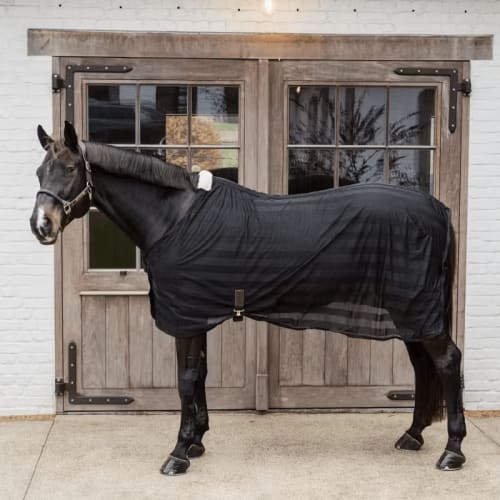 Kentucky Light Striped Mesh Fly Sheet
