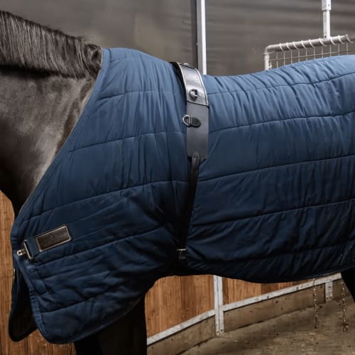 Kentucky Nylon Walker Girth