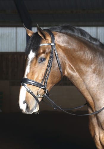 Optimum Isabell Hodelag