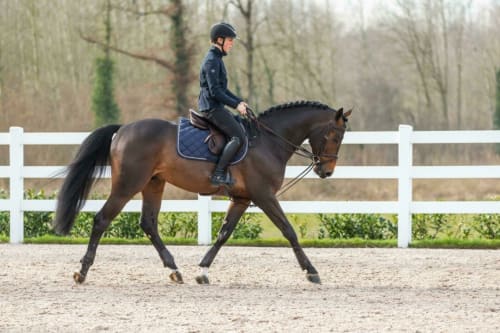 Dyon Full Leather Draw Reins 13mm Working By Dyon