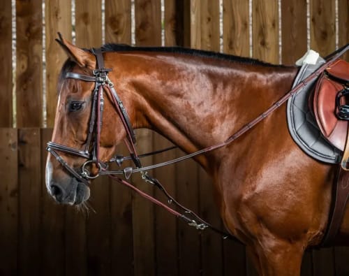 Dyon Gogue Nylon Ropes Working By Dyon