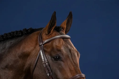 Dyon Silver Clincher Straight Browband US Collection
