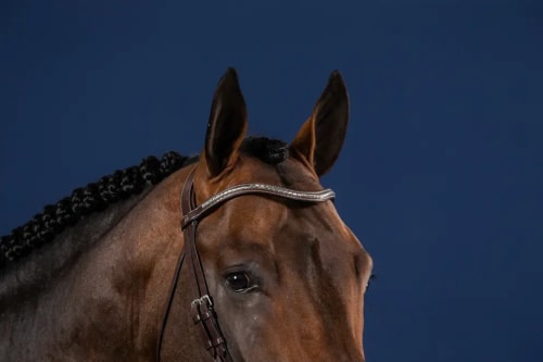 Dyon Silver Clincher V-Shaped Browband US Collection