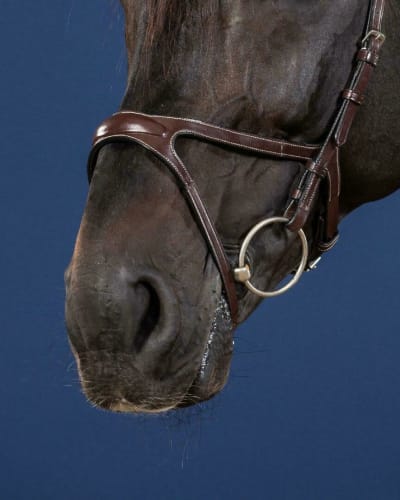 Dyon X-Fit Noseband US Collection