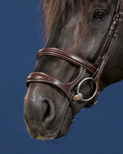 Dyon Double Noseband US Collection