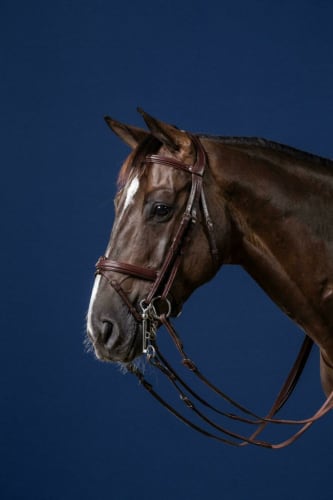 Dyon Flash Noseband Double Bridle New English Collection