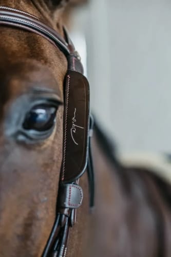 Dyon Blinkers With Fancy Stitching