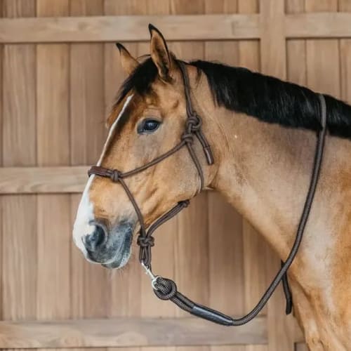 Dyon Training Halter Working By Dyon