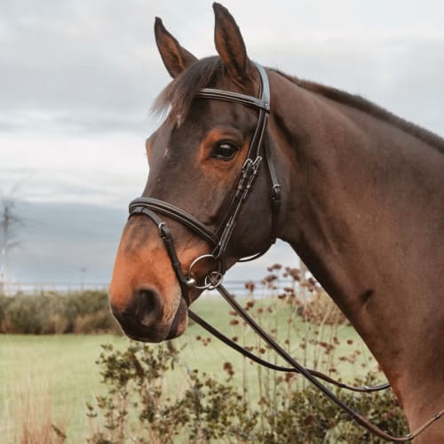 Dyon 13mm Rubber Reins w/7 Leather Loops Ring Closure Working By Dyon