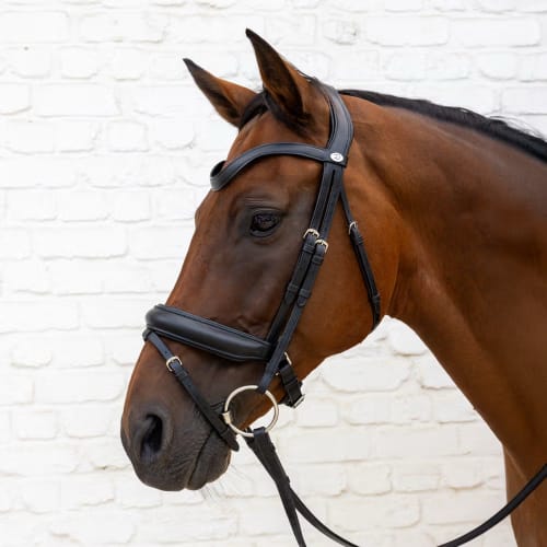 Dyon Medium Noseband Bridle Soft Leather Collection