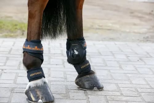 Kentucky Pastern Wrap