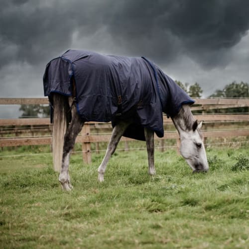 Kentucky Turnout Rug All Weather Hurricane