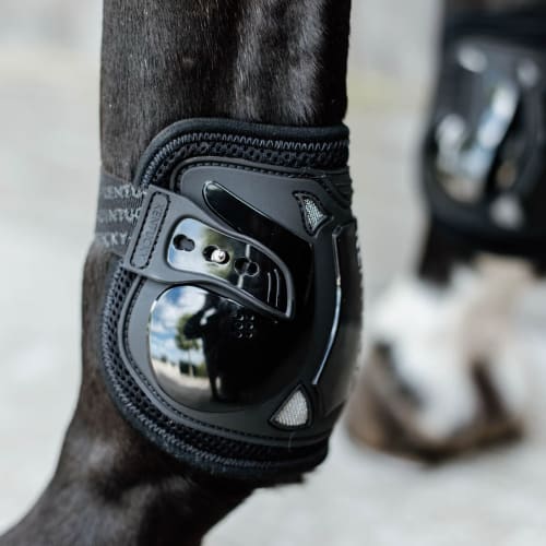 Kentucky Moonboots Elastic