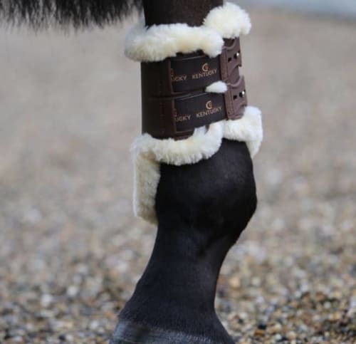 Kentucky Sheepskin Fetlock Boots Elastic