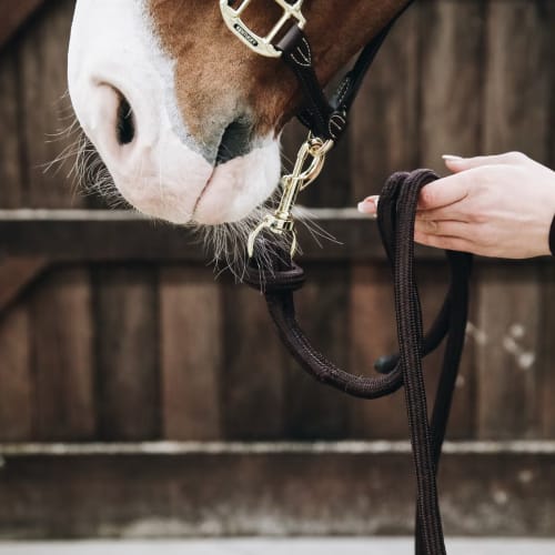 Kentucky Lead Rope Loop