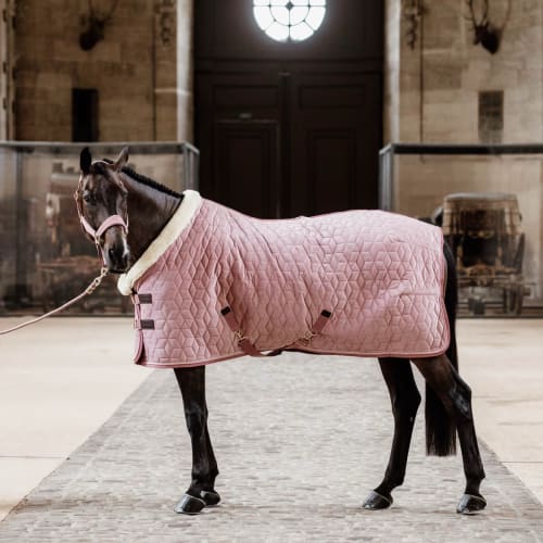 Kentucky Show Rug Velvet