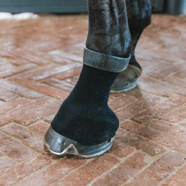 Kentucky Tendon Grip Gel