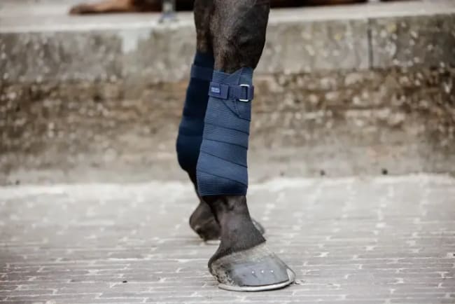 Kentucky Elastic Bandage