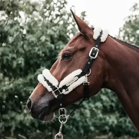 Kentucky Nylon Sheepskin Halter