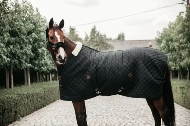 Kentucky Stable Rug