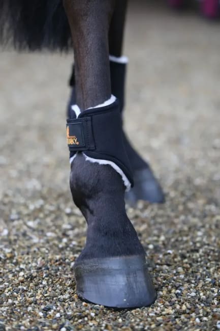 Kentucky Solimbra Turnout Boots Short Back