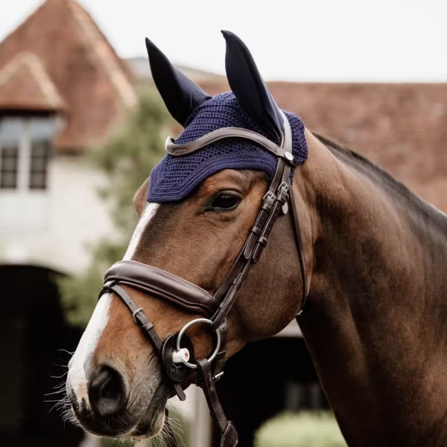 Kentucky Fly veil Wellington
