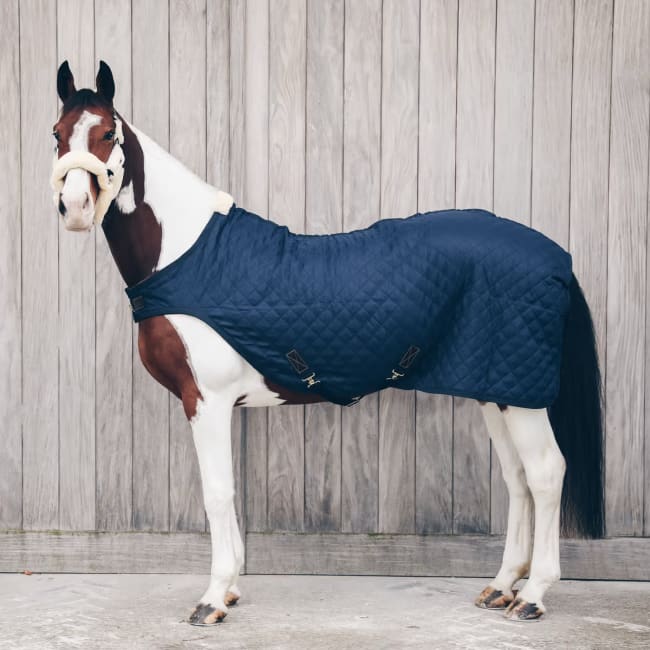 Kentucky Walker Rug