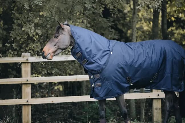 Kentucky Neck All Weather Waterproof Pro