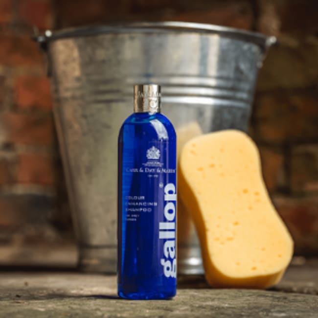 CDM Gallop Colour Grey