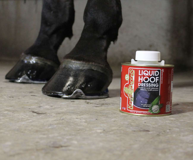 Kevin Bacon Liquid Hoof Dressing