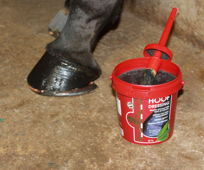 Kevin Bacon Hoof Dressing Black
