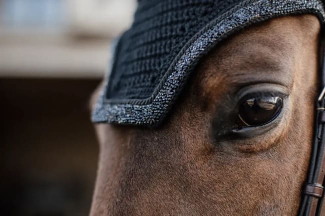 Kentucky Fly Veil Wellington Glitter Stone