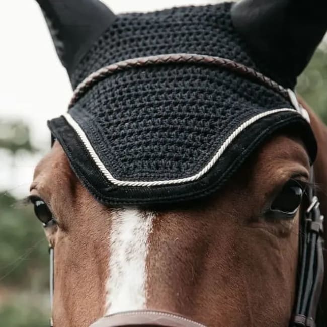 Kentucky Fly veil Wellington Corduroy