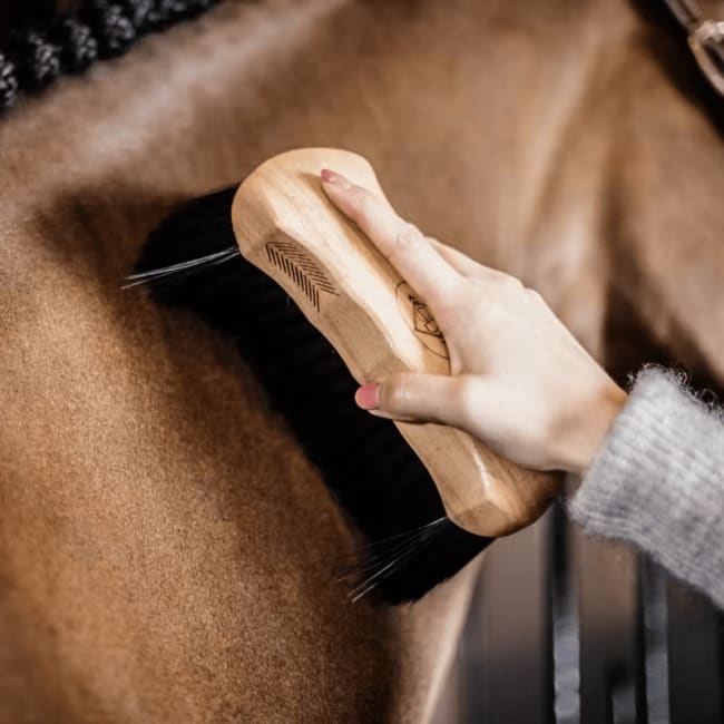 Grooming Deluxe Body Brush Middle Hard