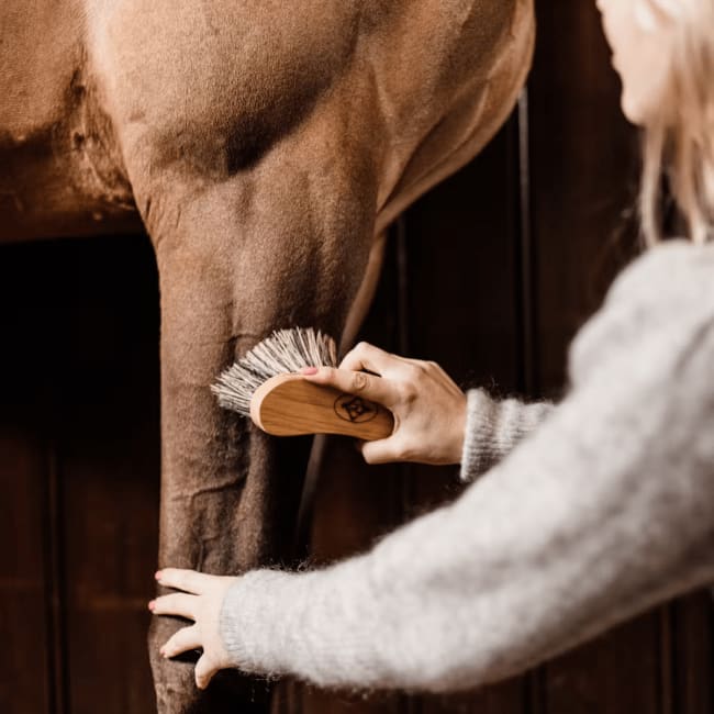 Grooming Deluxe Middle Hard Brush