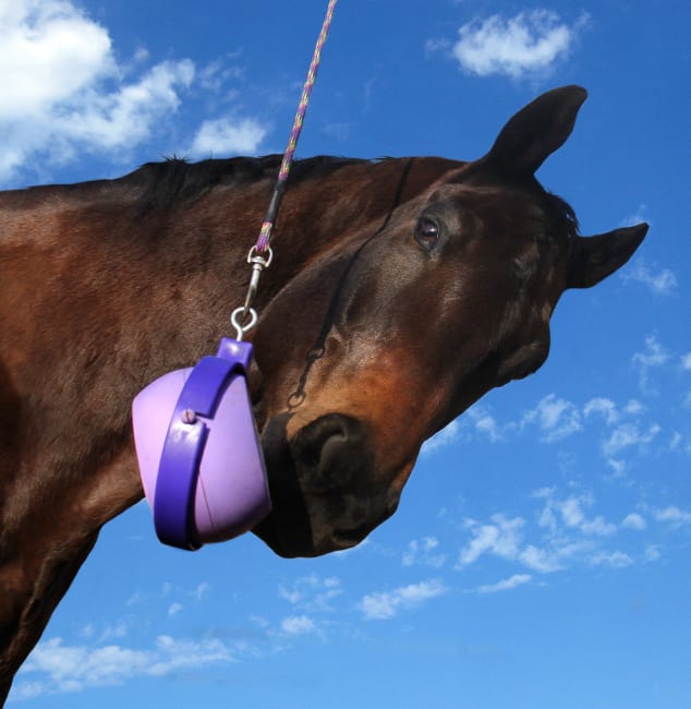 Likit Boredom Buster