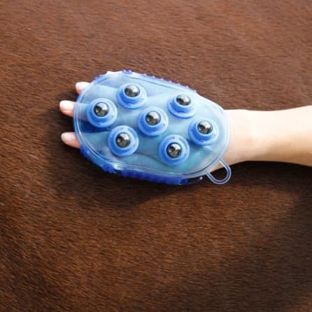 Magnet Massage Curry Comb