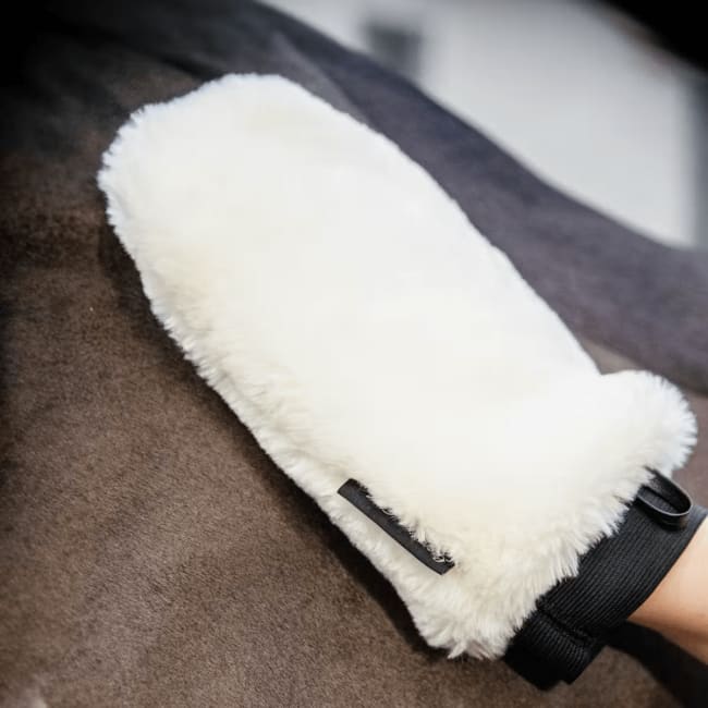Grooming Deluxe Sheepskin Grooming Glove