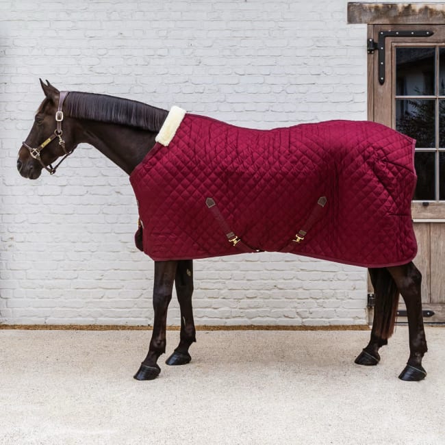 Kentucky Stable Rug
