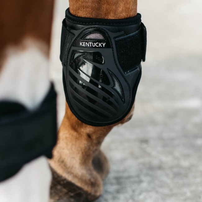 Kentucky Young Horse Fetlock Boots