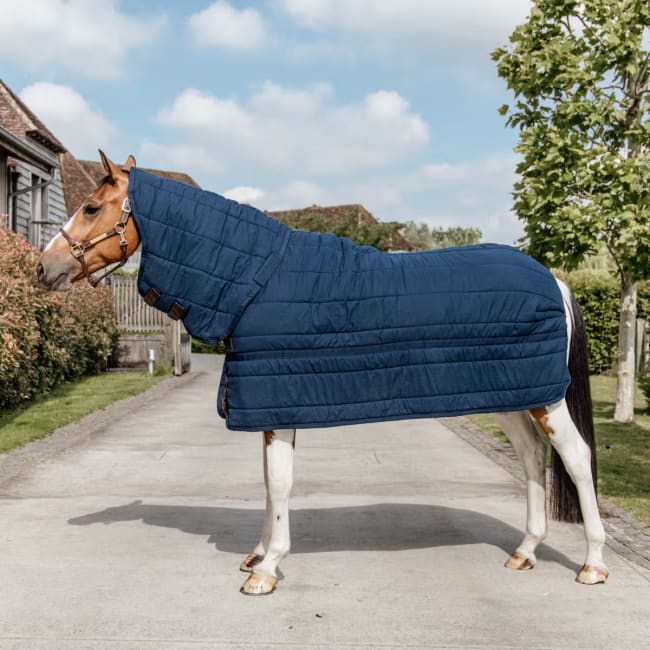 Kentucky Under Rug Skin Friendly w/Neck