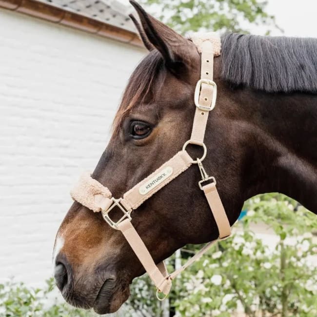 Kentucky Teddy Fleece Halter