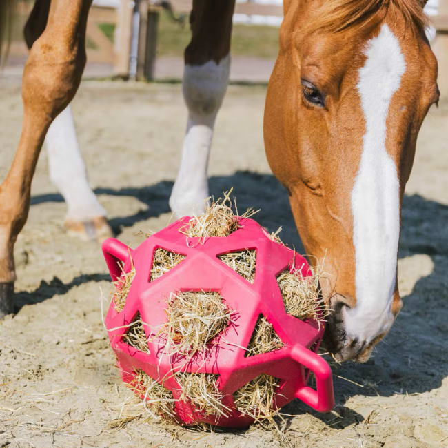 Kentucky Relax Horse Play & Hay Ball
