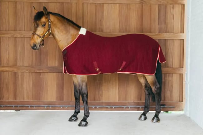 Kentucky Cooler Rug ProTherm