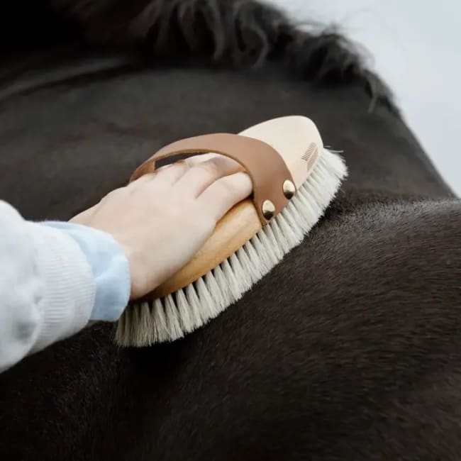 Grooming Deluxe Overall Brush Body Shine
