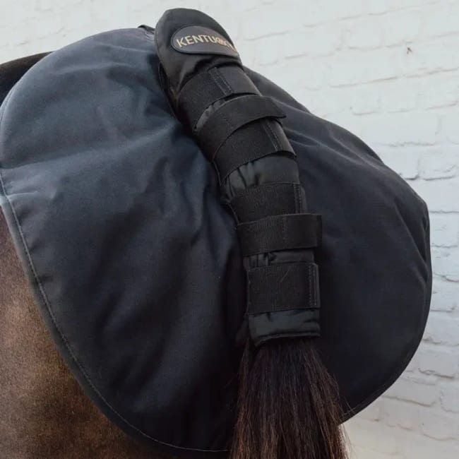 Kentucky Quarter Guard